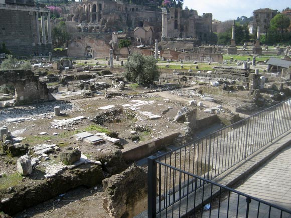 The Forum View 1