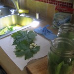 Don't Forget the Non-Latex Gloves! Don't Forget the Non-Latex Gloves!