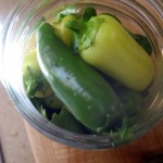 Packing Peppers Packing Peppers