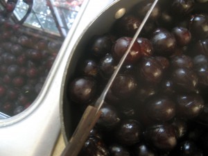 Cherry Plums Being Prepared for Plum Sauce Cherry Plums Being Prepared for Plum Sauce
