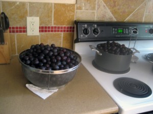 Plums in Pit and Skin Removal Process Plums in Pit and Skin Removal Process