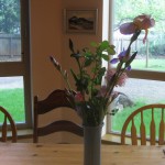 Summer Flowers