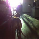 First One's in Reception at 7:30 WIth Sun Streaming in First One's in Reception at 7:30 WIth Sun Streaming in