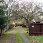 before, from outside the gate