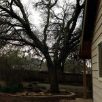 before, from side yard