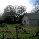 from the backyard, before