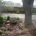 no more walking stones