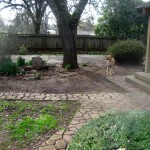 Tes watched us take down the bird baths