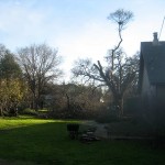 from the backyard