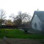 now you see just the neighbors tree