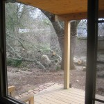 limbs coming down